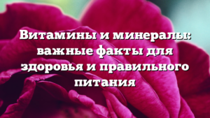 Витамины и минералы: важные факты для здоровья и правильного питания