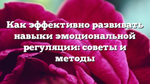 Как эффективно развивать навыки эмоциональной регуляции: советы и методы