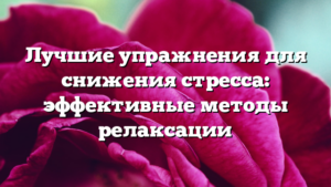 Лучшие упражнения для снижения стресса: эффективные методы релаксации