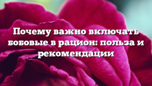 Почему важно включать бобовые в рацион: польза и рекомендации