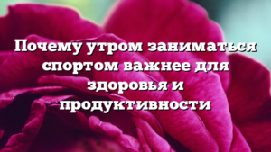Почему утром заниматься спортом важнее для здоровья и продуктивности